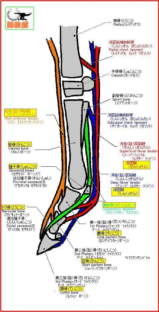 アップロードファイル 59-1.gif