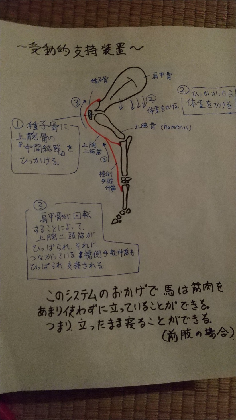 アップロードファイル 172-1.jpg