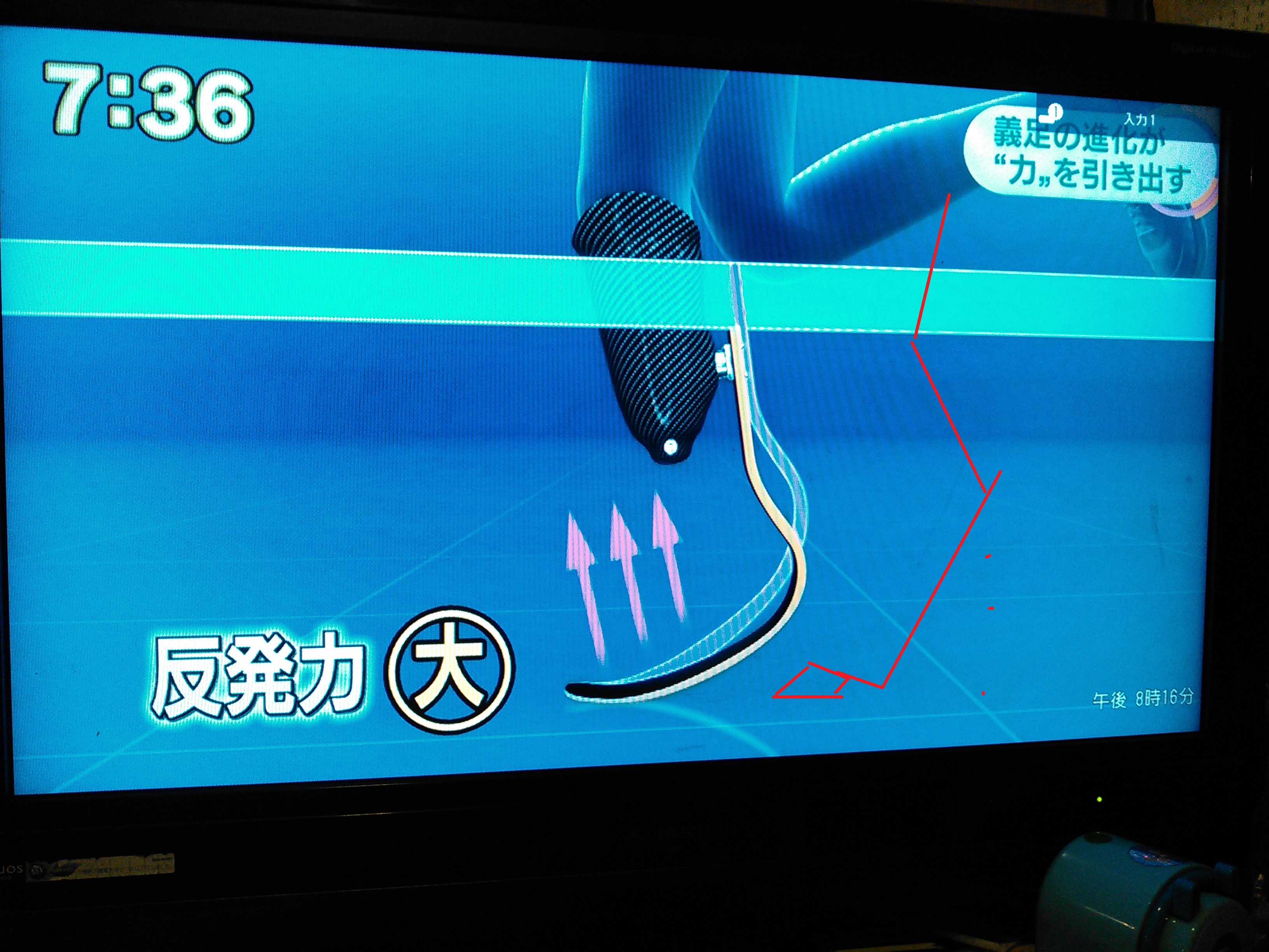 アップロードファイル 181-1.jpg